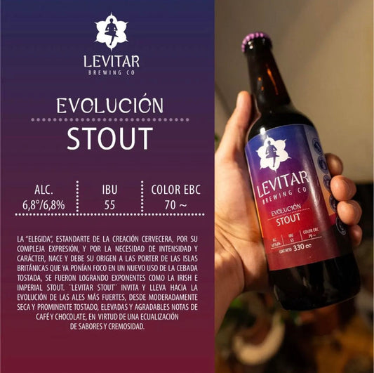 Cerveza Stout (330 cc)